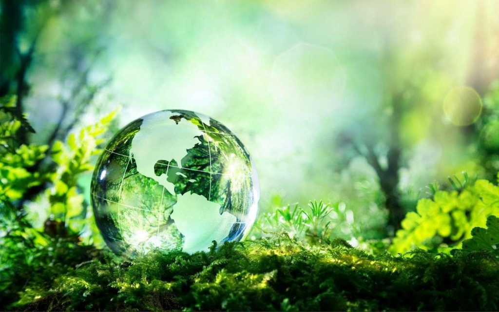 357edf2a-1b01-5a92-900a-213f17b025f6.jpg 357edf2a-1b01-5a92-900a-213f17b025f6.jpg